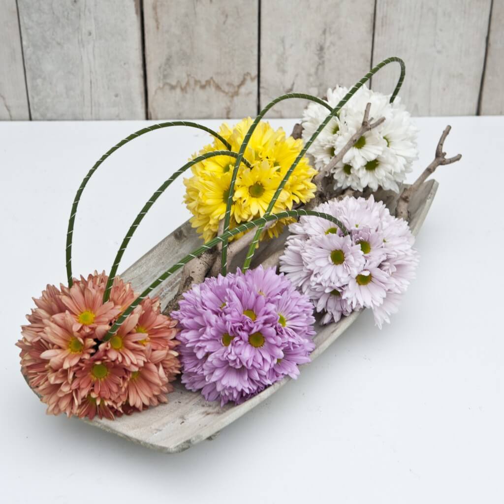chrysantheumum-atlantis-dark-pink+yellow+salmon