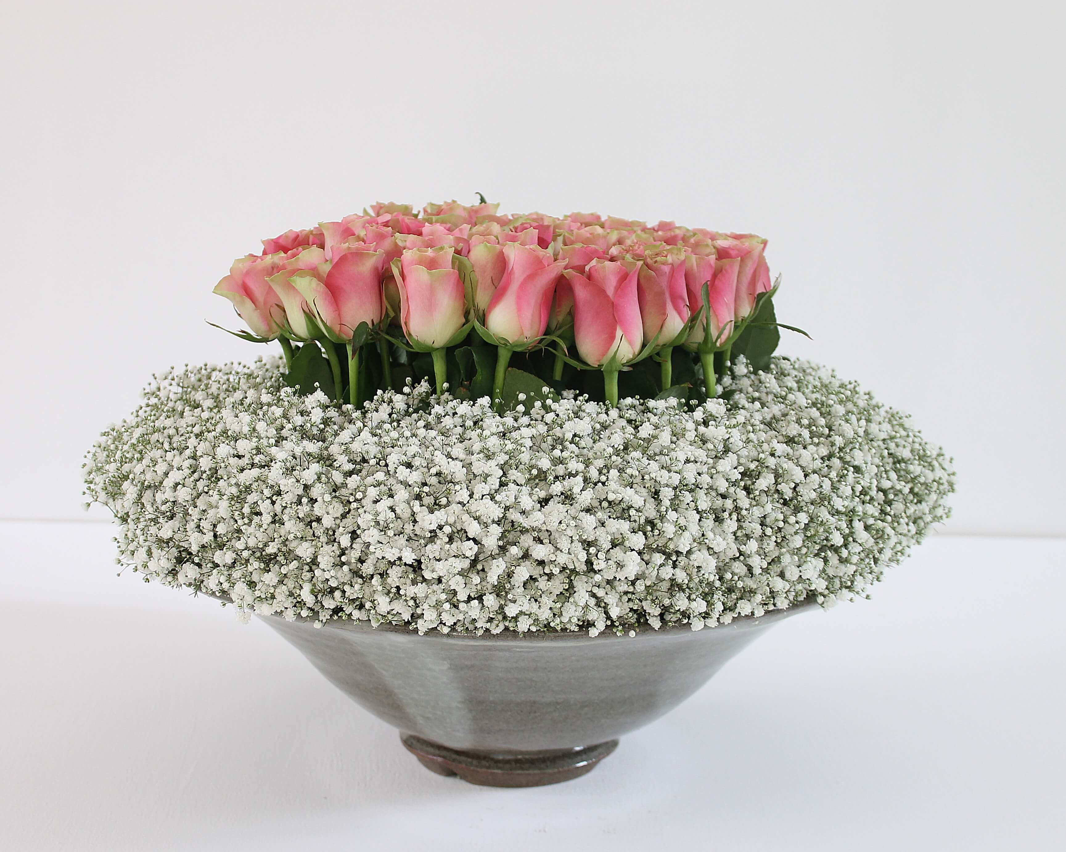 Gypsophila White victoria