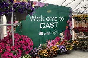 Danziger varieties CAST 2019