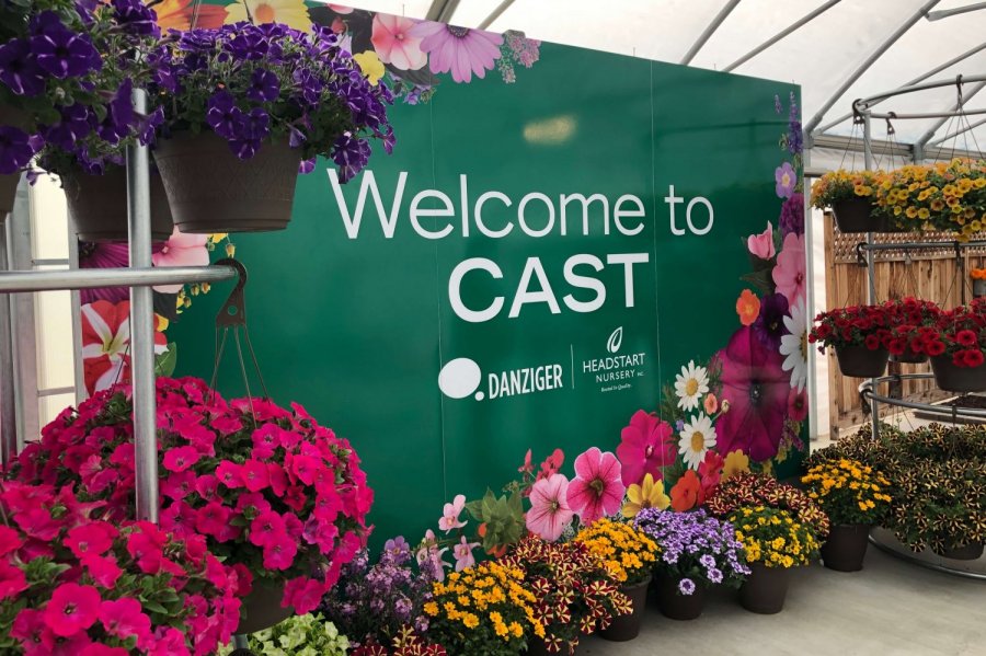 Danziger varieties CAST 2019
