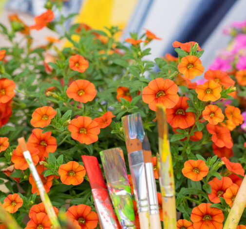 Colibri™ Orange