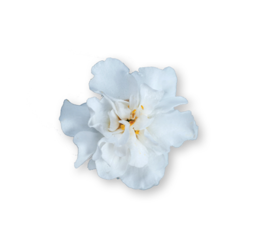 Scopia® Double Snowball