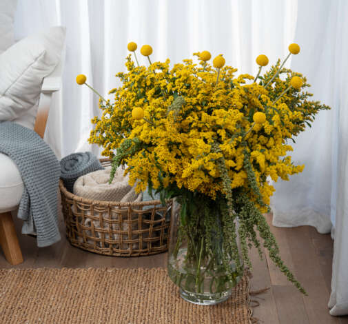Solidago-GOLDEN-GLORY™