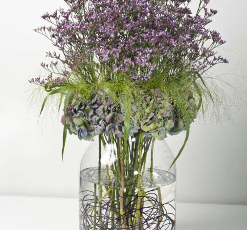 SAFORA™ LILAC