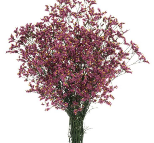 SENSY™ PINK BEAUTY