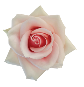 SENTI™ ROMANTIC TOUCH COLOMBIA