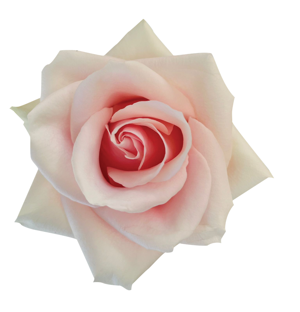 SENTI™ ROMANTIC TOUCH COLOMBIA