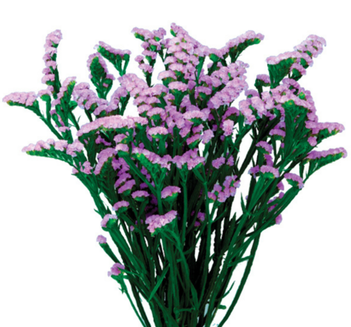 SPACE™ LAVENDER