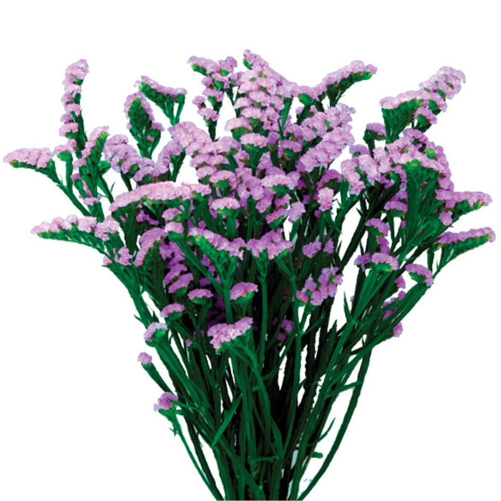 SPACE™ LAVENDER