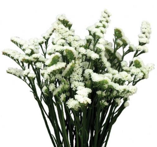 WHITE DELIGHT™