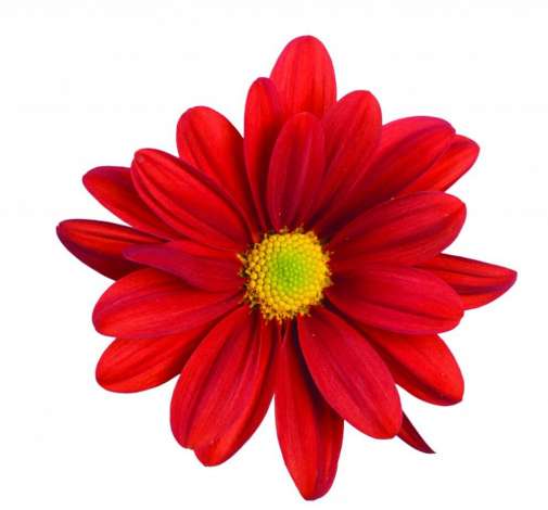 ATLANTIS™ RED