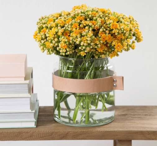 KALANCHOE CUTFLOWERS™ YELLOW