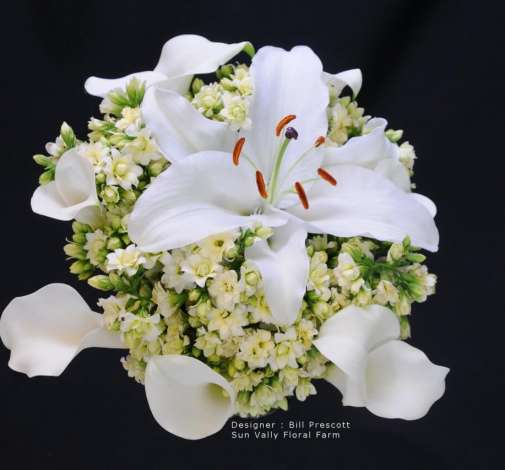 KALANCHOE CUTFLOWERS™ WHITE