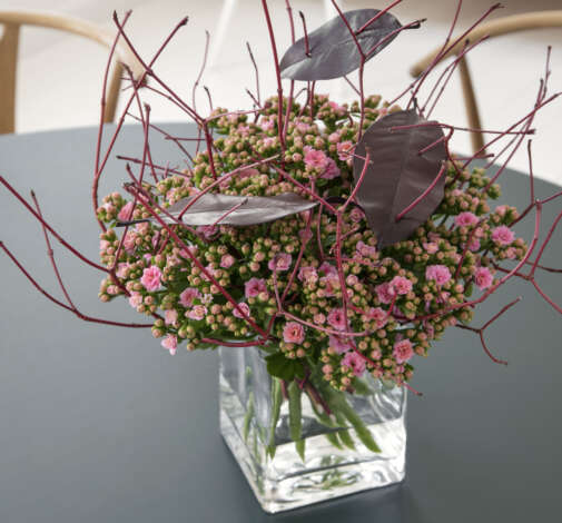 KALANCHOE CUTFLOWERS™ PINK