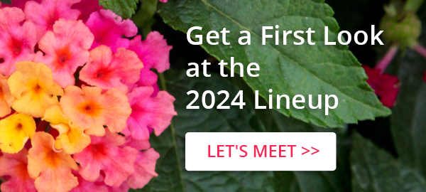 Widget 2024 lineup