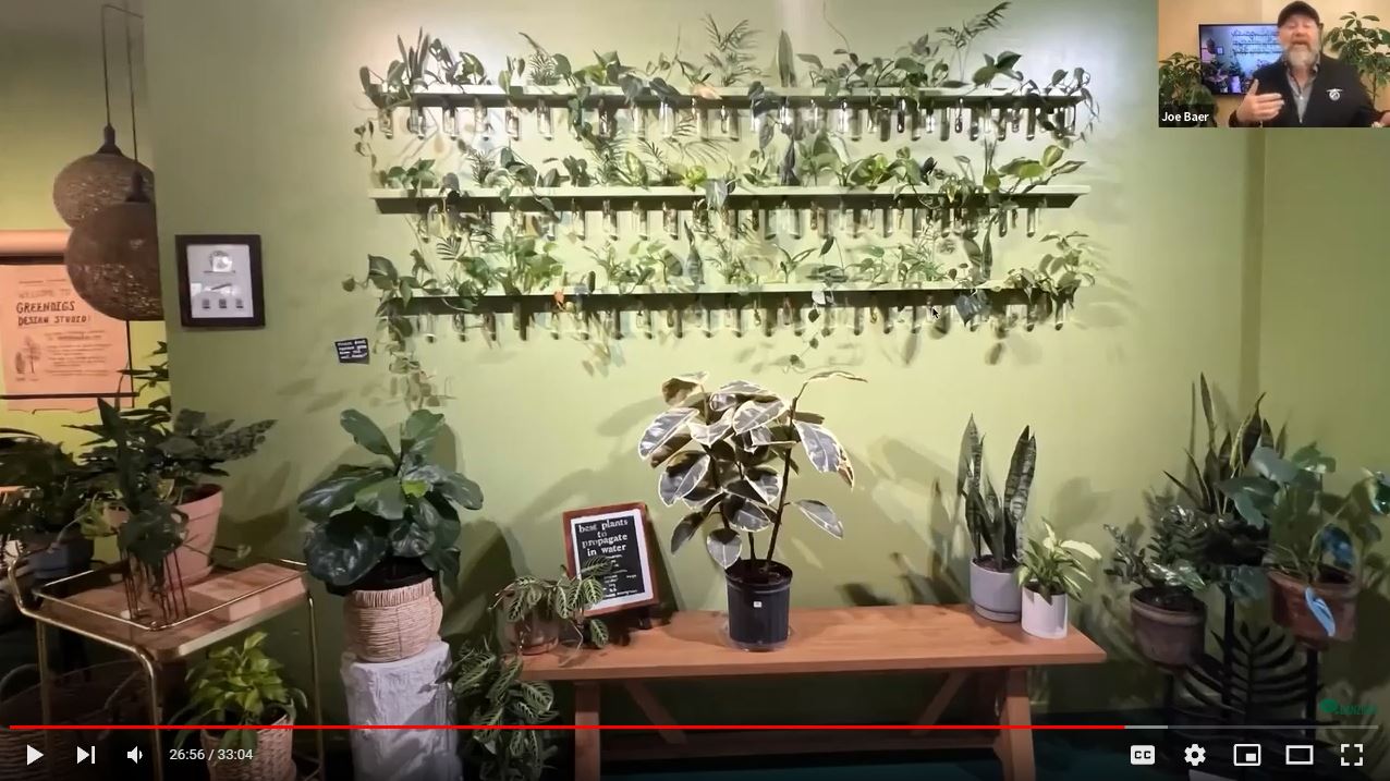 Joe Baer - How to use visual merchandising to inhance the point-of-sale experience