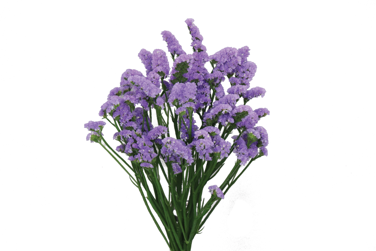 SUPERTA™ BLUE