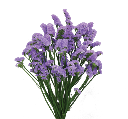 SUPERTA™ BLUE