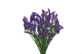 SUPERTA™ DARK BLUE