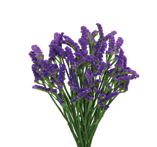 SUPERTA™ DARK BLUE
