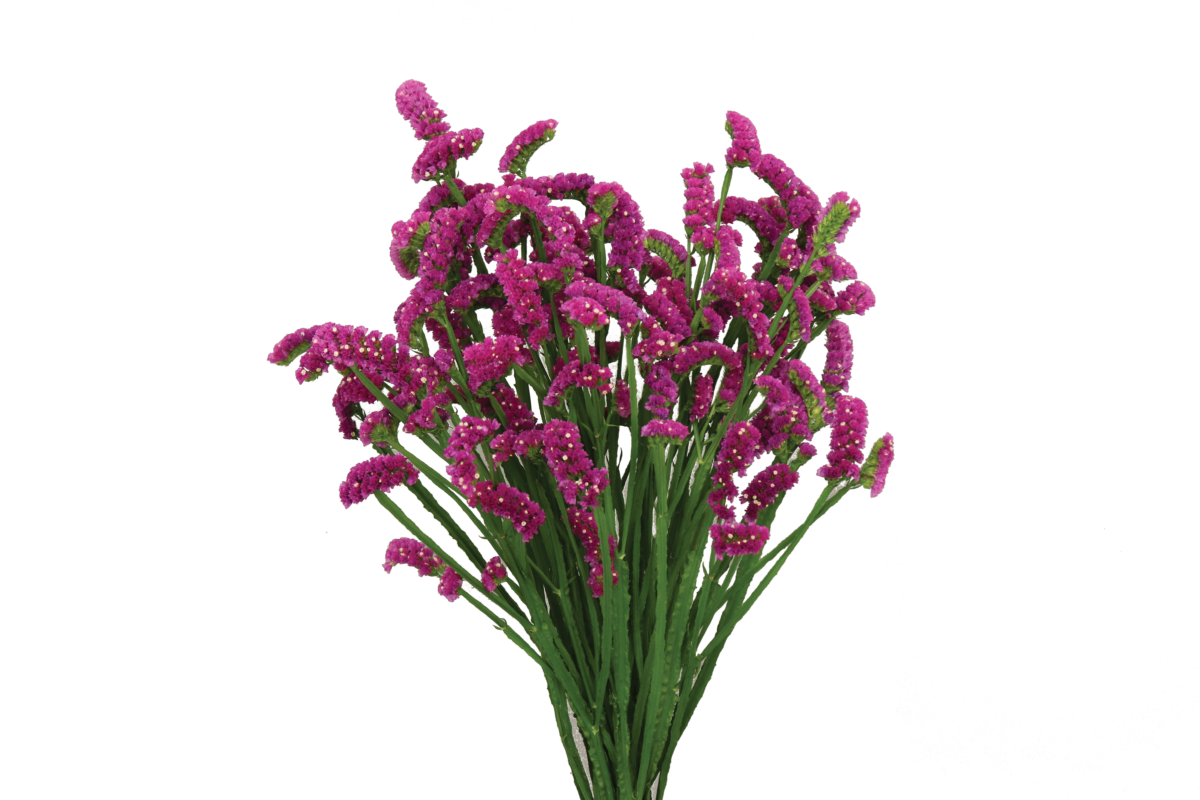 SUPERTA™ PURPLE