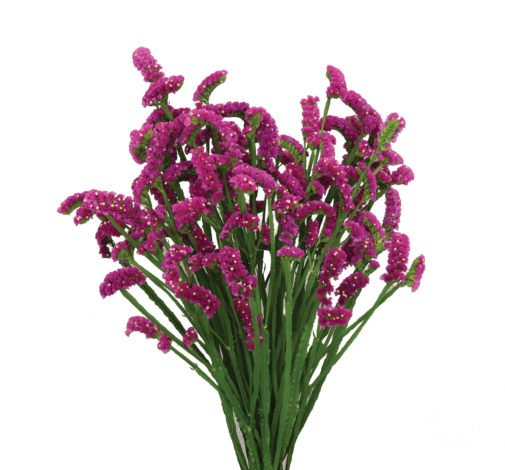 SUPERTA™ PURPLE