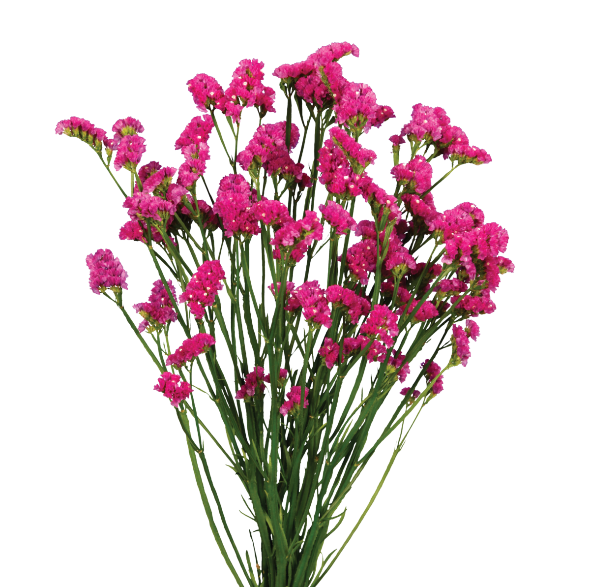 SUPERTA™ VERMILION