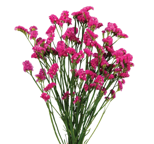 SUPERTA™ VERMILION