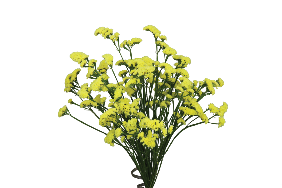SUPERTA™ YELLOW