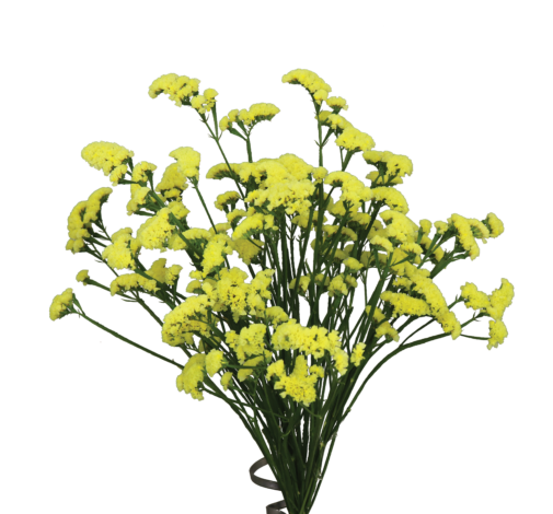 SUPERTA™ YELLOW