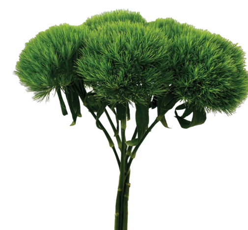TriGreen XL™
