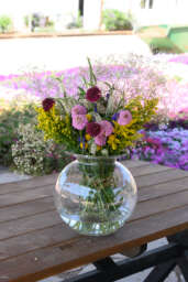 Garden to Vase