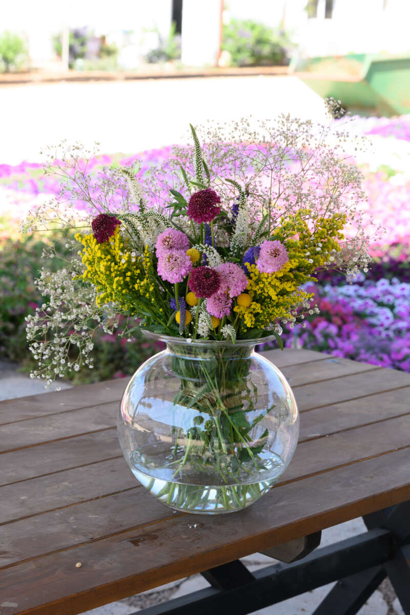 Garden to Vase