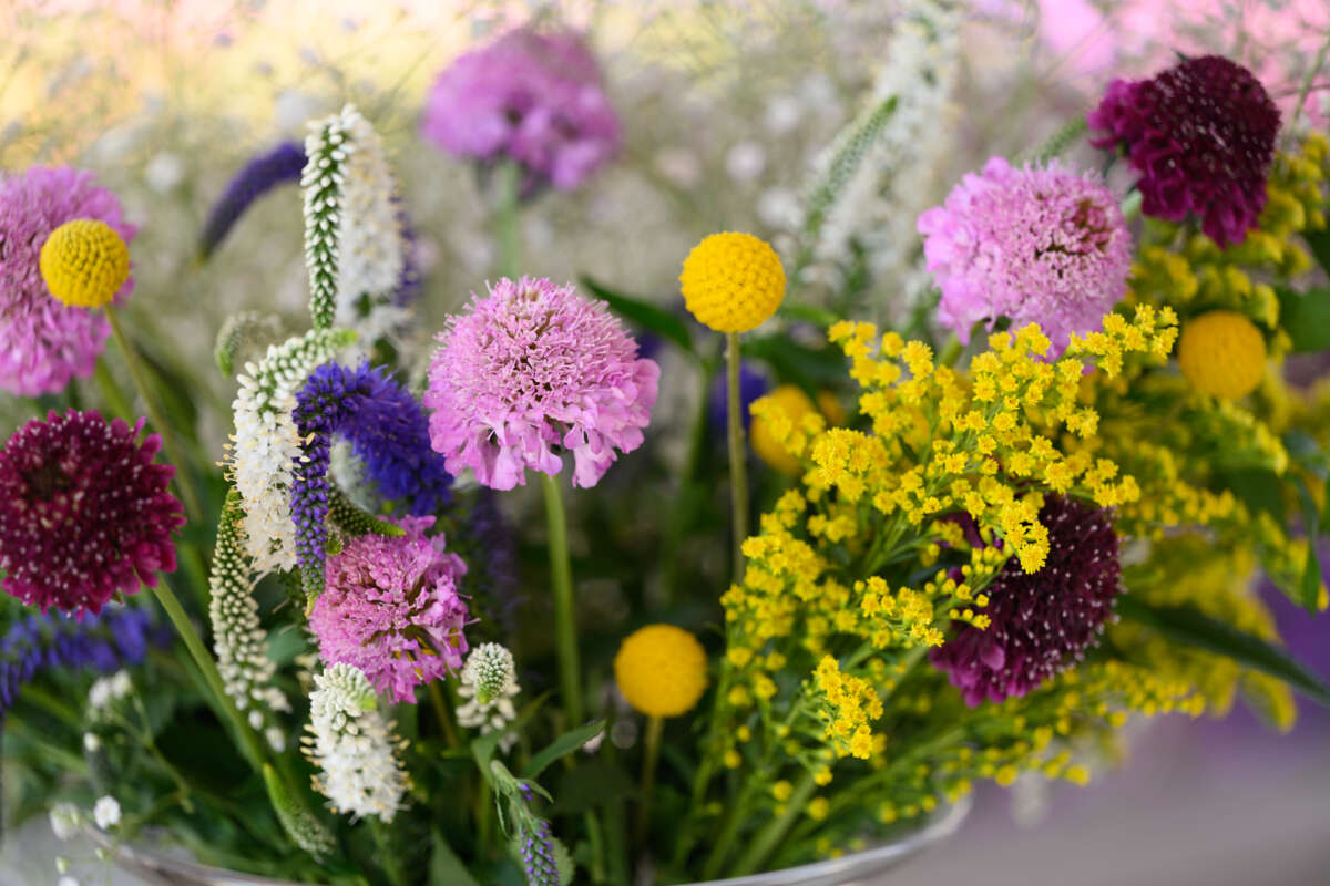 Garden to Vase