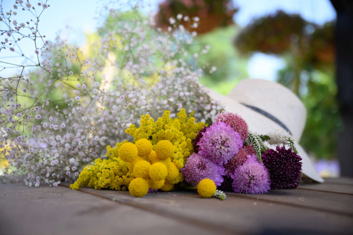 Garden to Vase