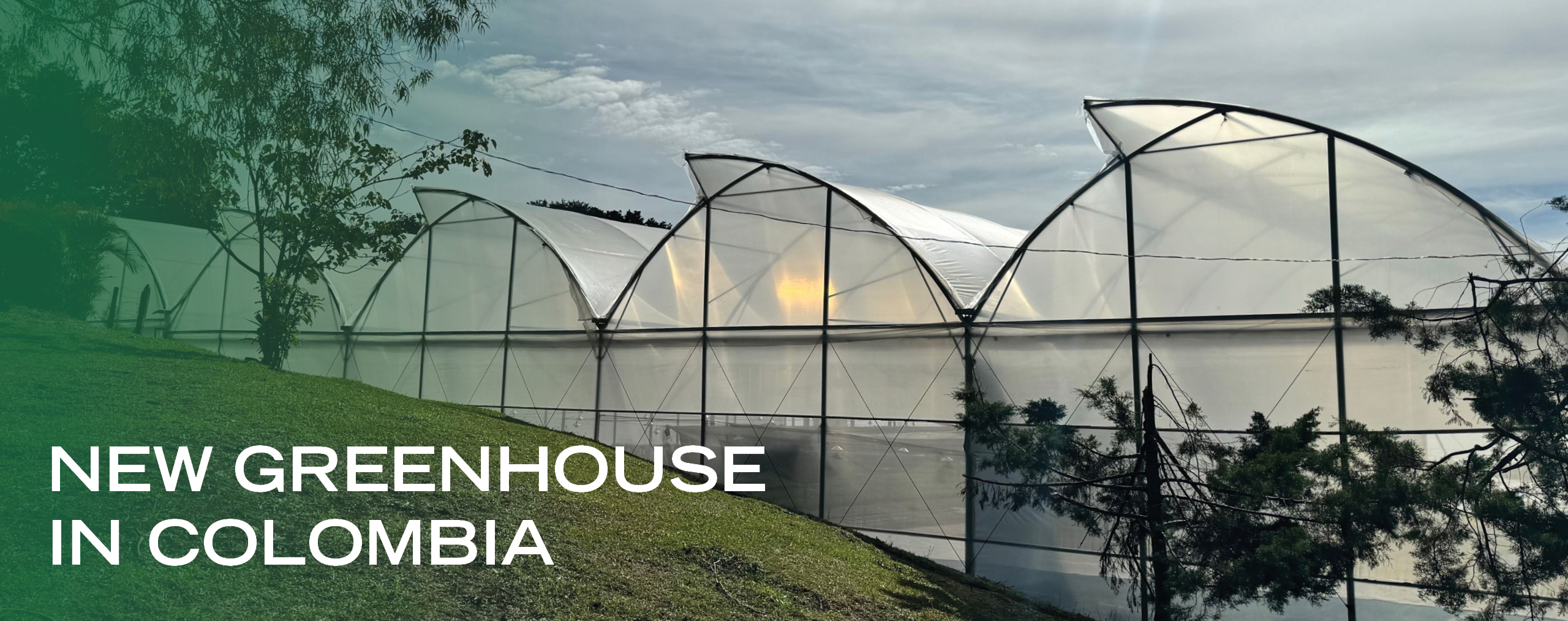 New greenhouse in colombia
