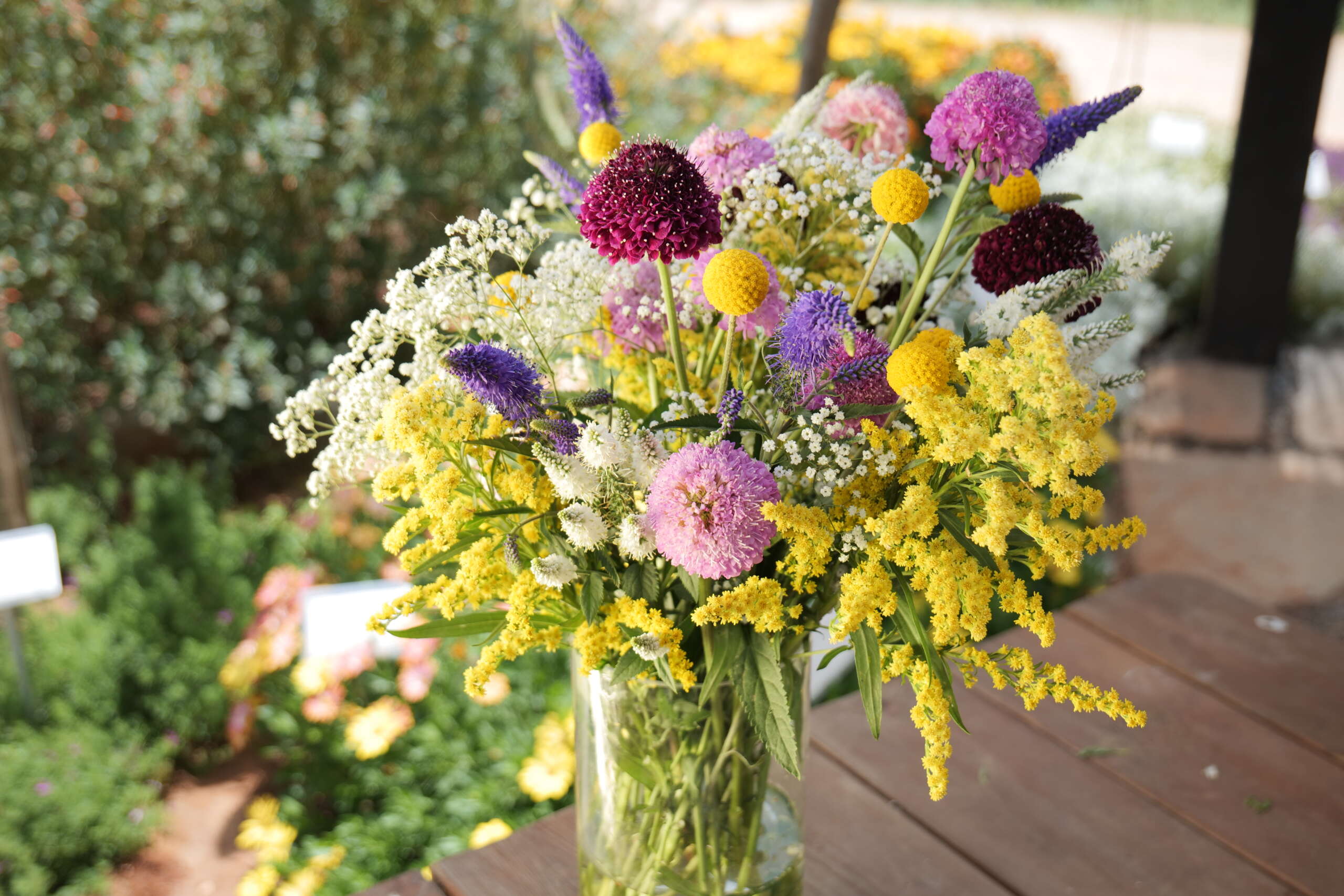 Garden to Vase