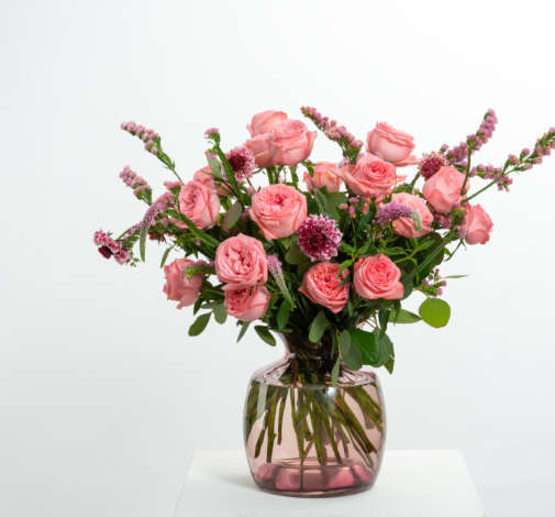 SENTI™ CRUSH Roses
