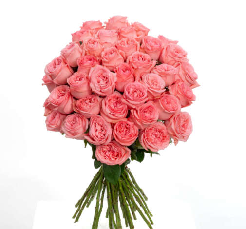 SENTI™ CRUSH Roses