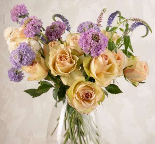 SENTI™ BAKEA Roses