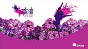 Splash Dance