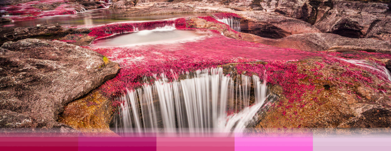 The Caño Cristales collection