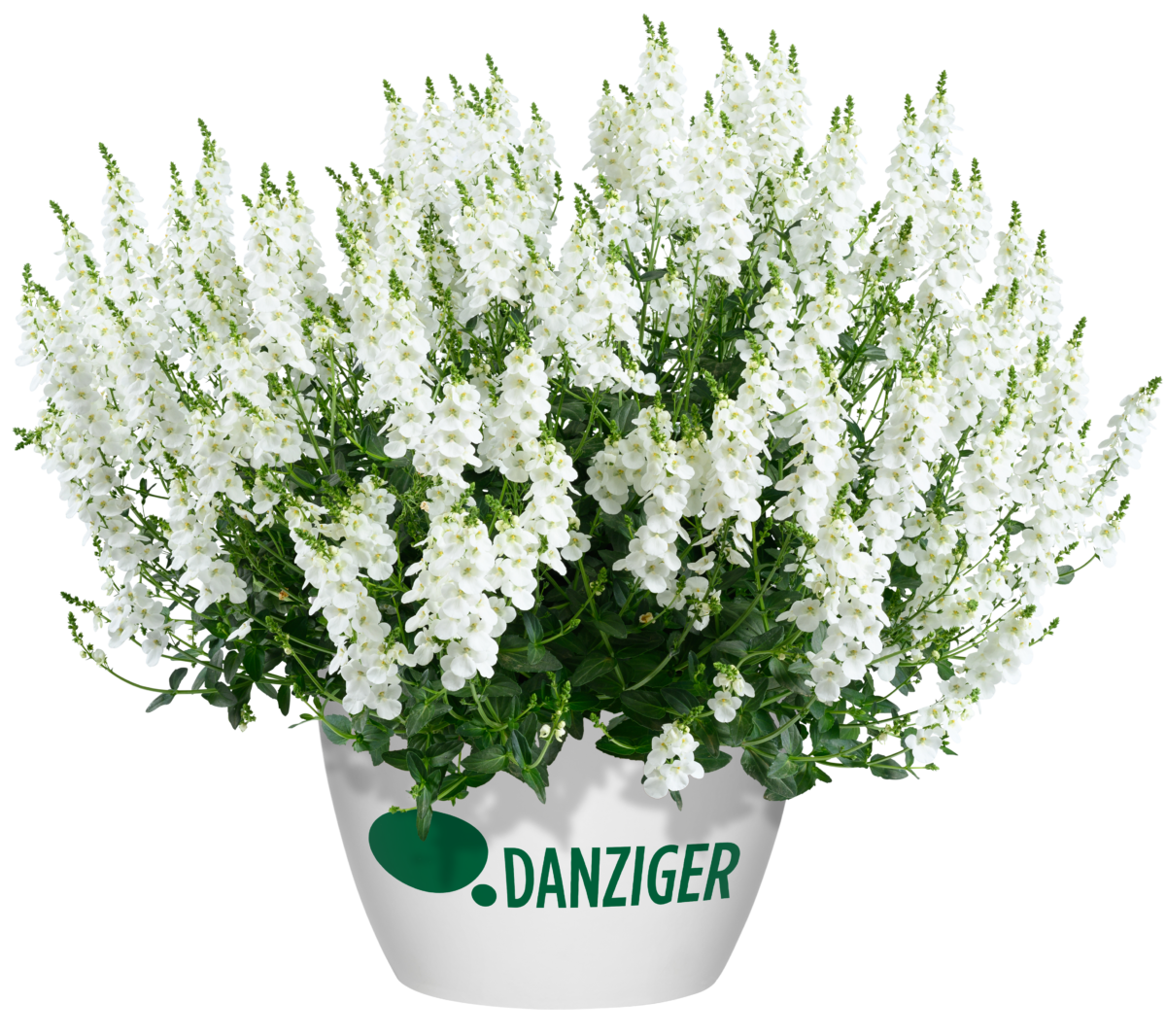 TRINITY™ white