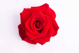 Endless passion_catalog_colombia