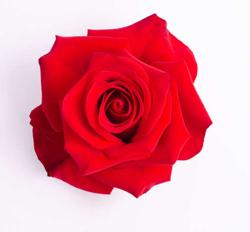 Endless passion_catalog_colombia