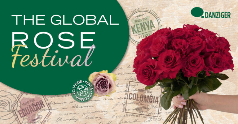 DANZIGER LAUNCHES THE GLOBAL ROSE FESTIVAL 2026